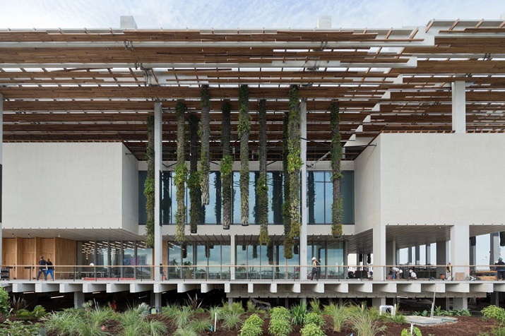 "Pérez Art Museum in Miami von Herzog & de Meuron eröffnet. Ein neues Museum für moderne und zeitgenössische Kunst soll zum Wahrzeichen von Miami werden."
