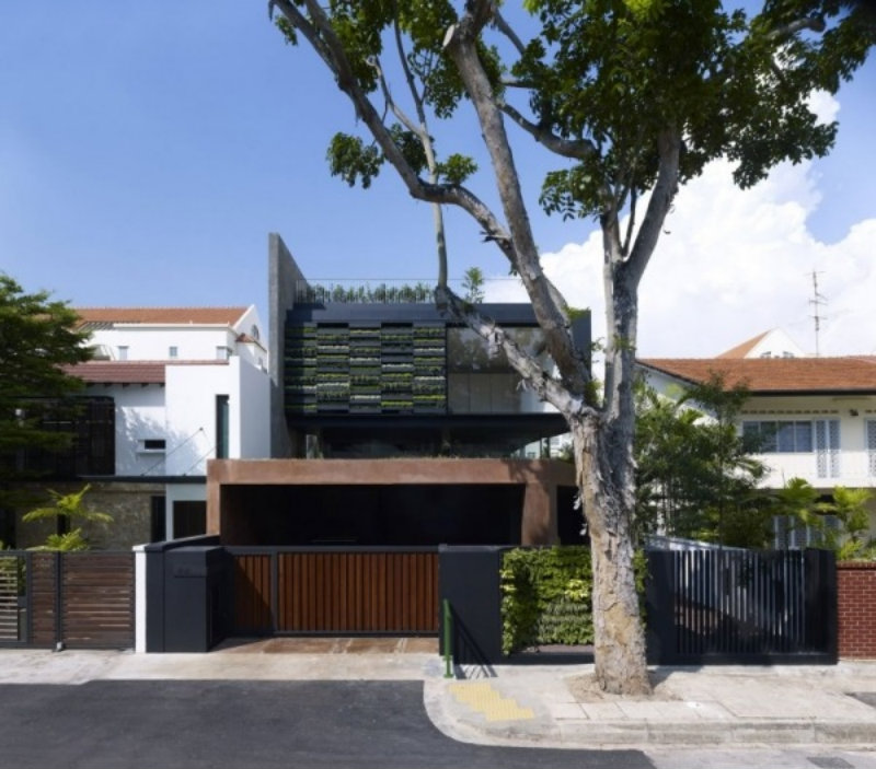 modernes-Haus-grüne-Architektur